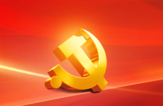 安徽丝瓜视频電子科（kē）技（jì）有限公司黨支部成立